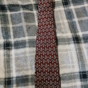 Elegant Paisley Tie in Rich Burgundy